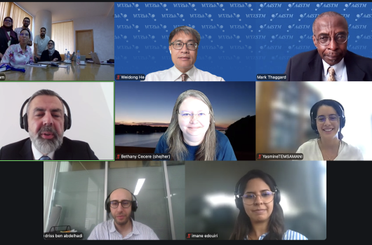 Virtual workshop participants screenshot