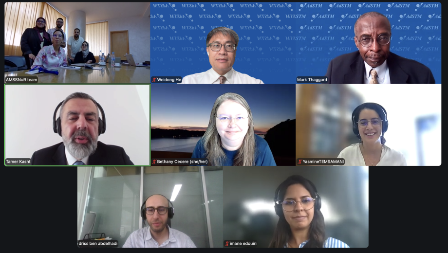 Virtual workshop participants screenshot